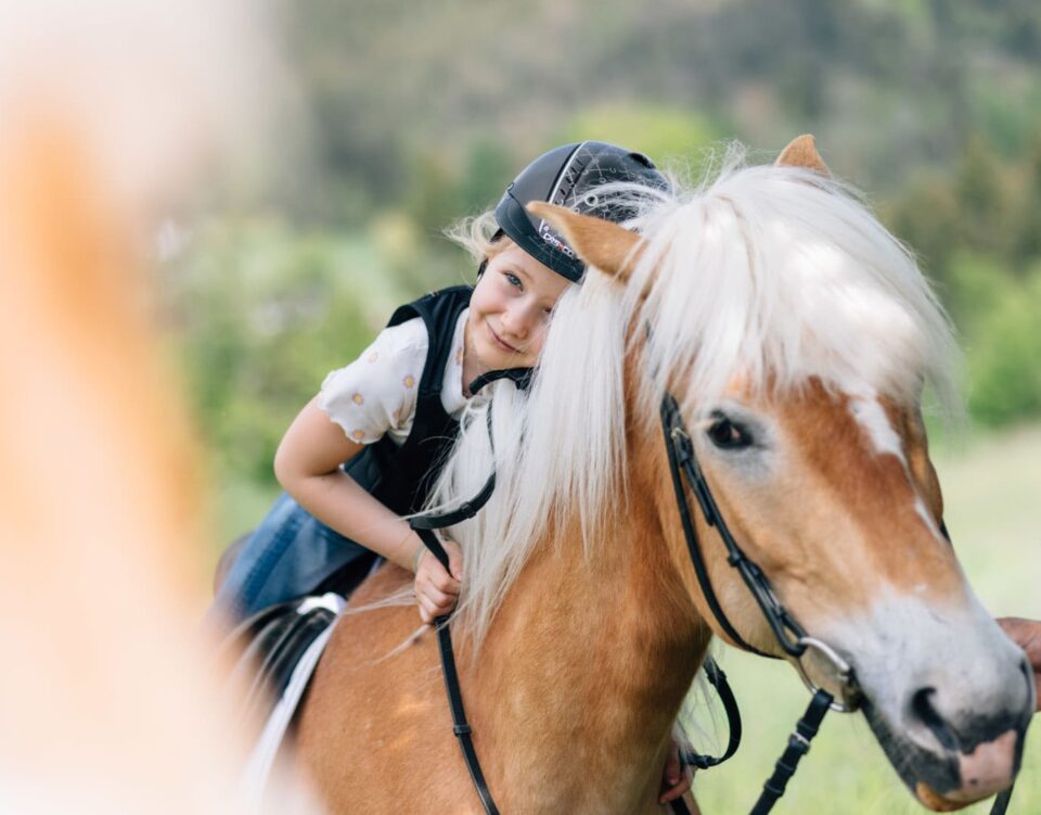 Sicherer Umgang und Ponyreiten für Kinder mit den gutmütigen Haflinger Pferden in Hafling