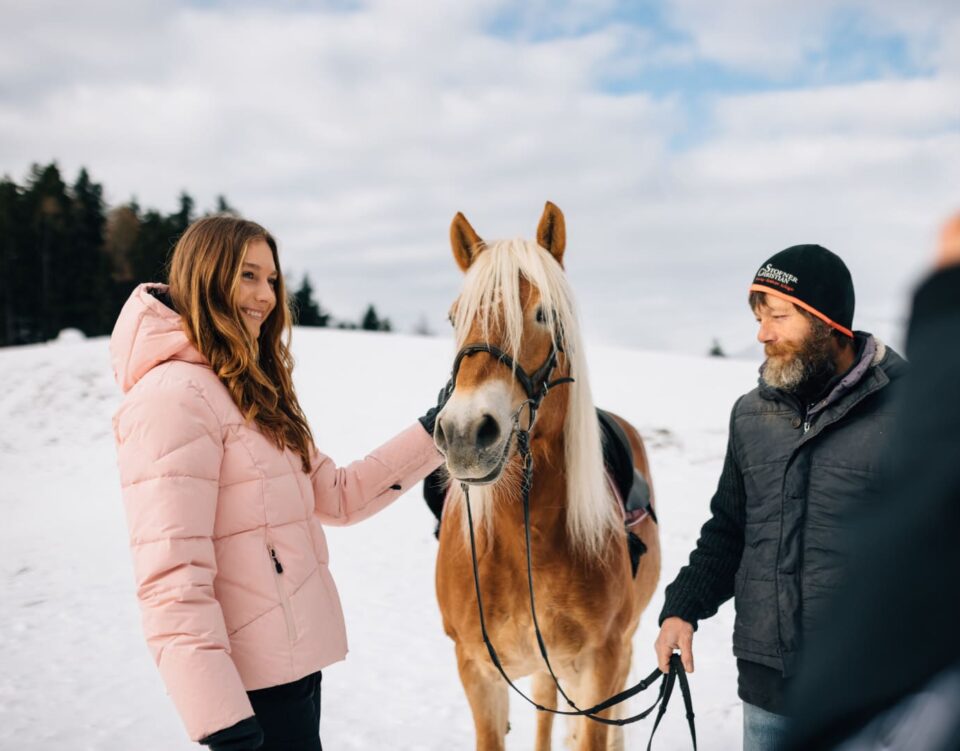 Haflinger Pferde mit blonder Mähne auf der verschneiten Winterweide in Hafling bei Meran