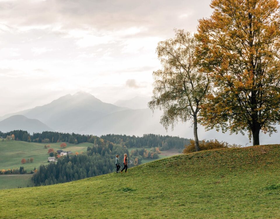 Wandern im Herbst in Hafling bei Meran über sonnige Almwiesen vor der Kulisse der Südtiroler Alpen