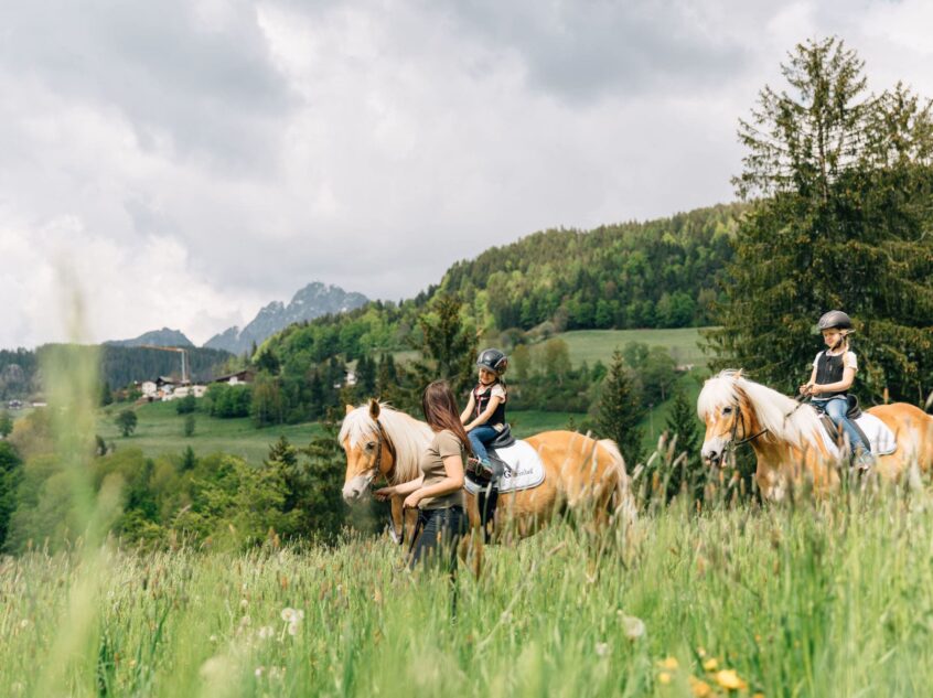Reitunterricht auf gutmütigen Haflinger Pferden für Anfänger und Fortgeschrittene in Hafling