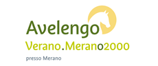 logo-avalengo